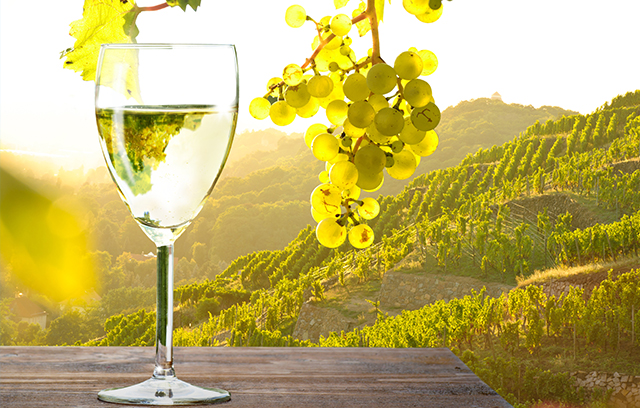 Württembergische Weingärtner-Zentralgenossenschaft